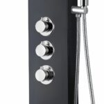 Aloni panneau de douche thermostatique 160 × 20 cm — noir